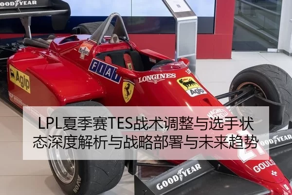 LPL夏季赛TES战术调整与选手状态深度解析与战略部署与未来趋势