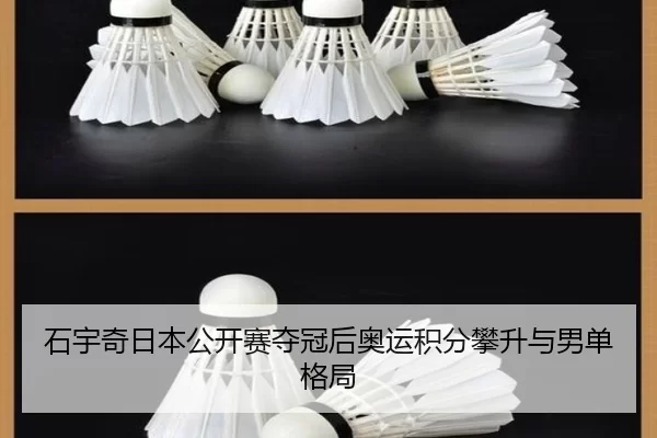 shi-yu-qi-ri-ben-gong-kai-sai-duo-guan-hou-ao-yun-ji-fen-pan-sheng-yu-nan-dan-ge-ju-3-163.jpg